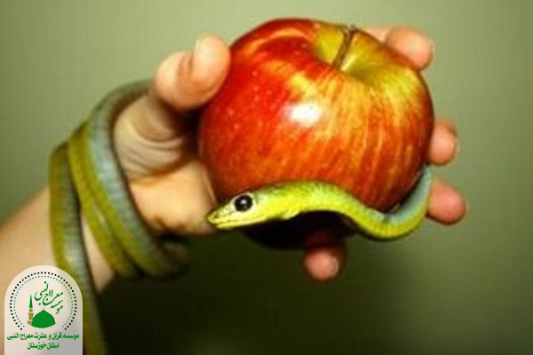 چرا برخی مکروهات آثاری بدتر از گناه صغیره دارند؟