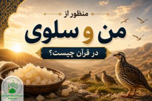 من و سلوی