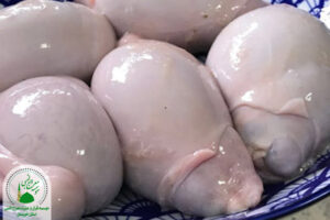 اجزای حرام حیوانات حلال گوشت